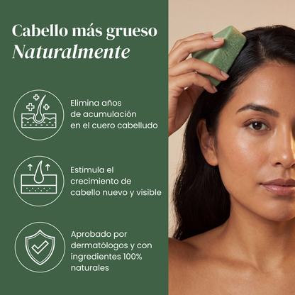 Barra para el Cuidado del Cuero Cabelludo